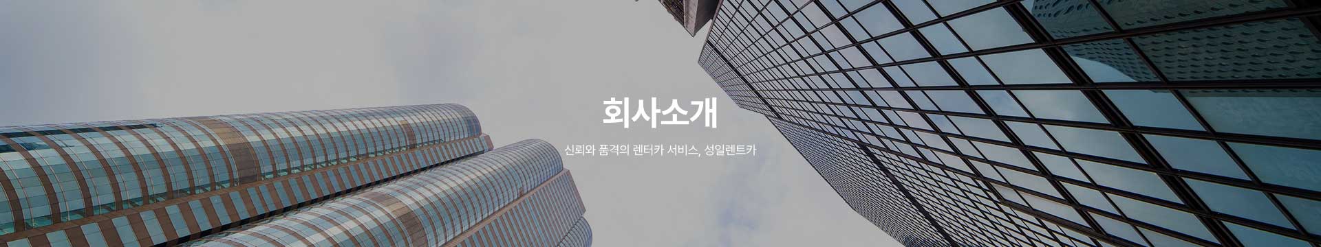 성일렌트카 회사소개 이미지
