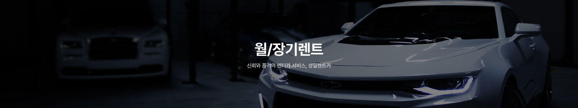 성일렌트카 회사소개 이미지